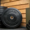 Rogue Fitness Rogue HG 2.0 Bumper Plates -Rogue Fitness shop HG22908 H ihyr6o