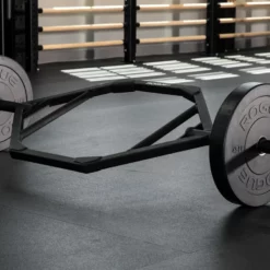 Rogue Fitness Rogue MIL Spec Echo Bumper -Rogue Fitness shop IP0198 web3 nqkgrg