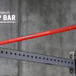 Rogue Fitness Rogue Monster Lite Socket Pull-up Bar