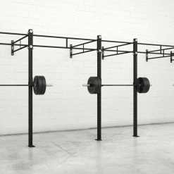 Rogue Fitness Monster Wallmounts