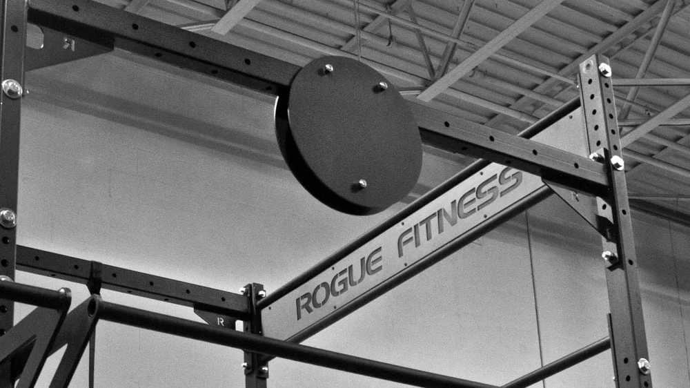 Rogue Fitness WB-2 Wall Ball Target 3 Rogue Fitness WB-2 Wall Ball Target