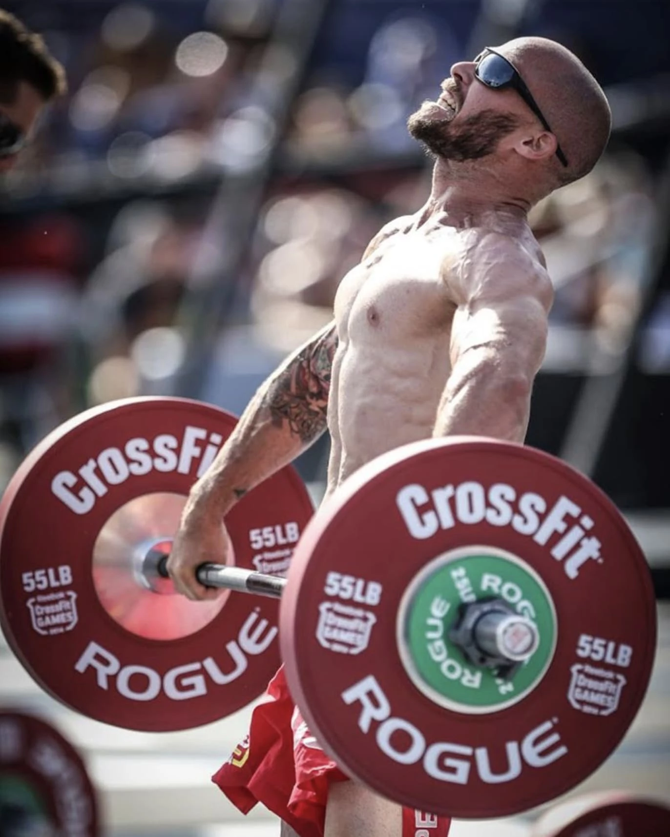 Rogue Fitness Rogue SPEAL Pull-up Bar 2.0 6 Rogue Fitness Rogue SPEAL Pull-up Bar 2.0 - Image 4