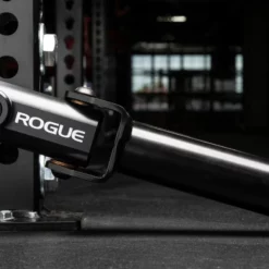 Rogue Fitness Rogue Monster Landmine 2.0