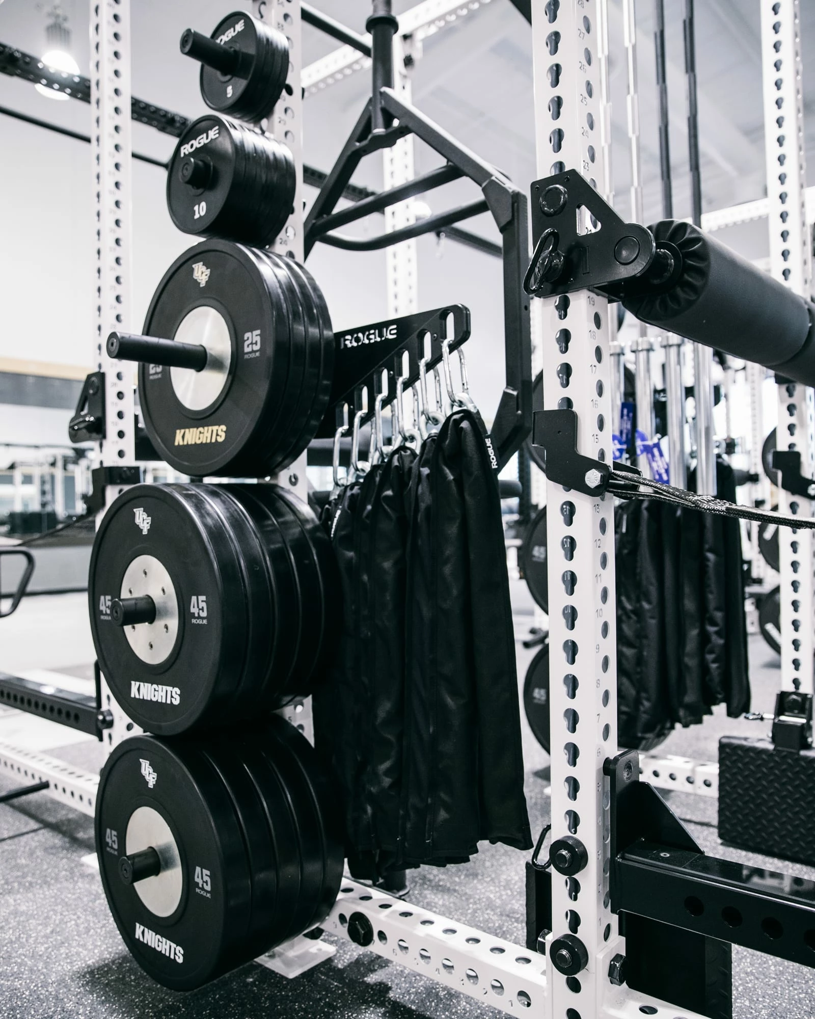 Rogue Fitness Monster Chain Hanger 7 Rogue Fitness Monster Chain Hanger - Image 5