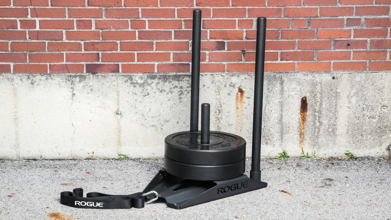 Rogue Fitness Rogue Slice Sled 3 Rogue Fitness Rogue Slice Sled