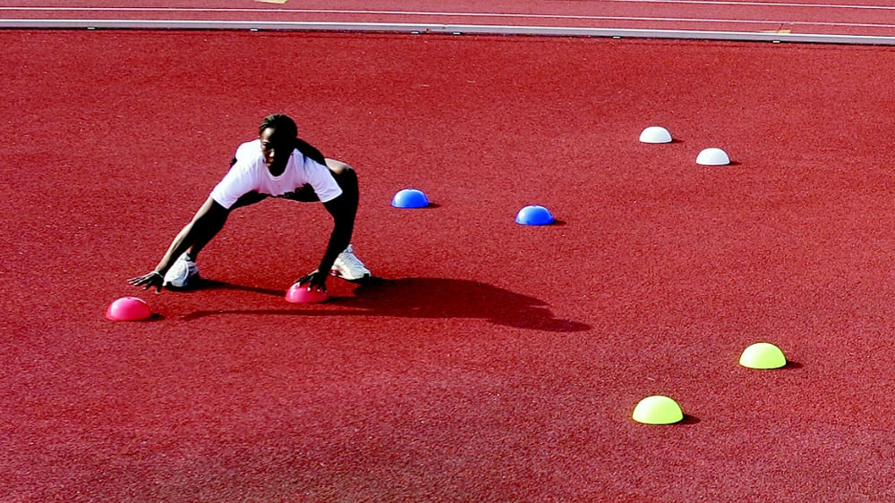 Powermax Agility Domes 3 Powermax Agility Domes