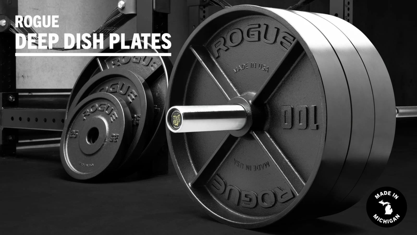 Rogue Fitness Rogue Deep Dish Plates 3 Rogue Fitness Rogue Deep Dish Plates