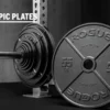 Rogue Fitness Rogue USA Olympic Plates -Rogue Fitness shop USC0005 H vqwr9z