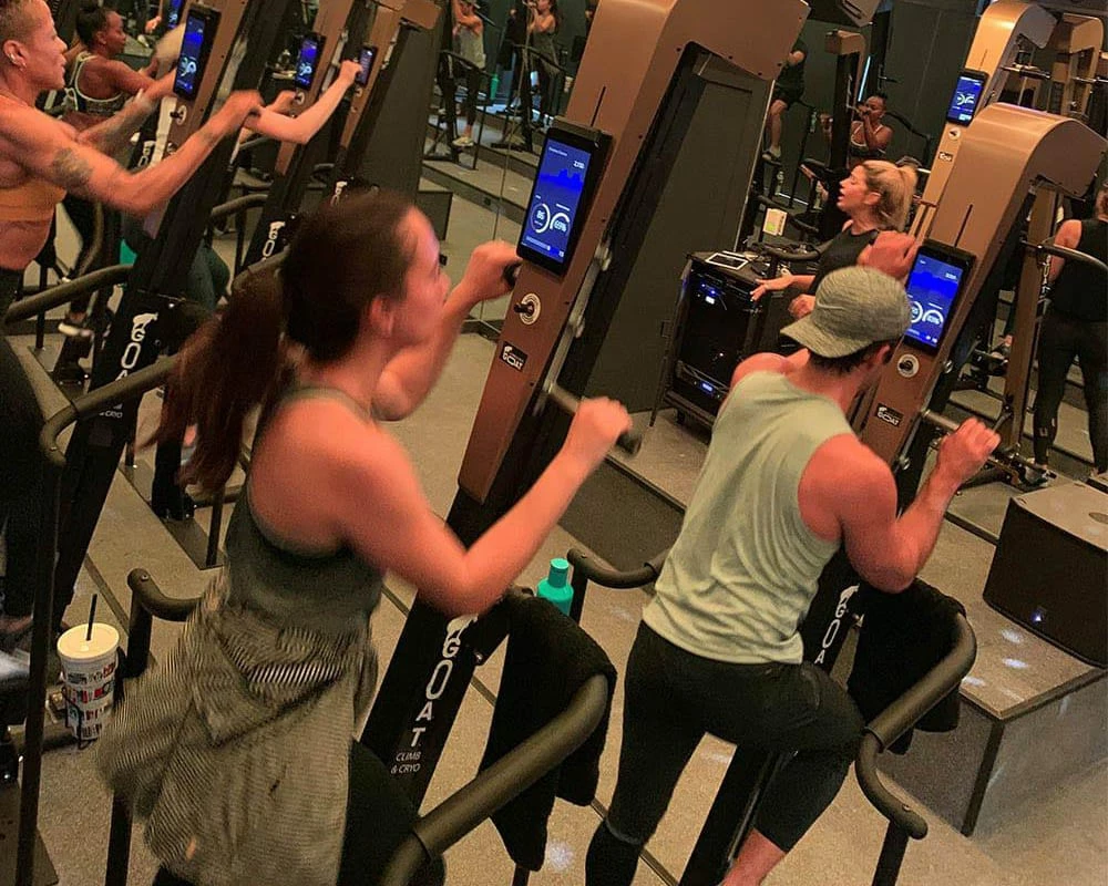 Commercial TS VersaClimber 7 Commercial TS VersaClimber - Image 5