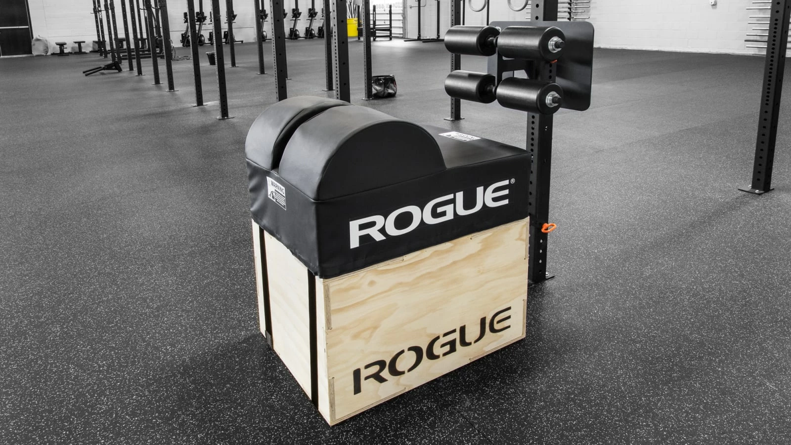 Rogue Fitness Rogue 3x3 Echo GHD 3 Rogue Fitness Rogue 3x3 Echo GHD