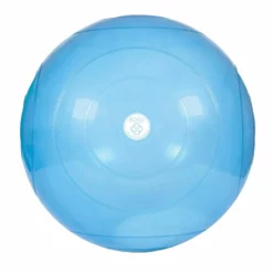BOSU Balls 6 BOSU Balls -Rogue Fitness shop XX2164 web 1 m855hf