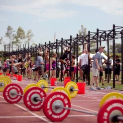 Rogue Fitness Dirty South Bar -Rogue Fitness shop XX225 web2 lgehsv