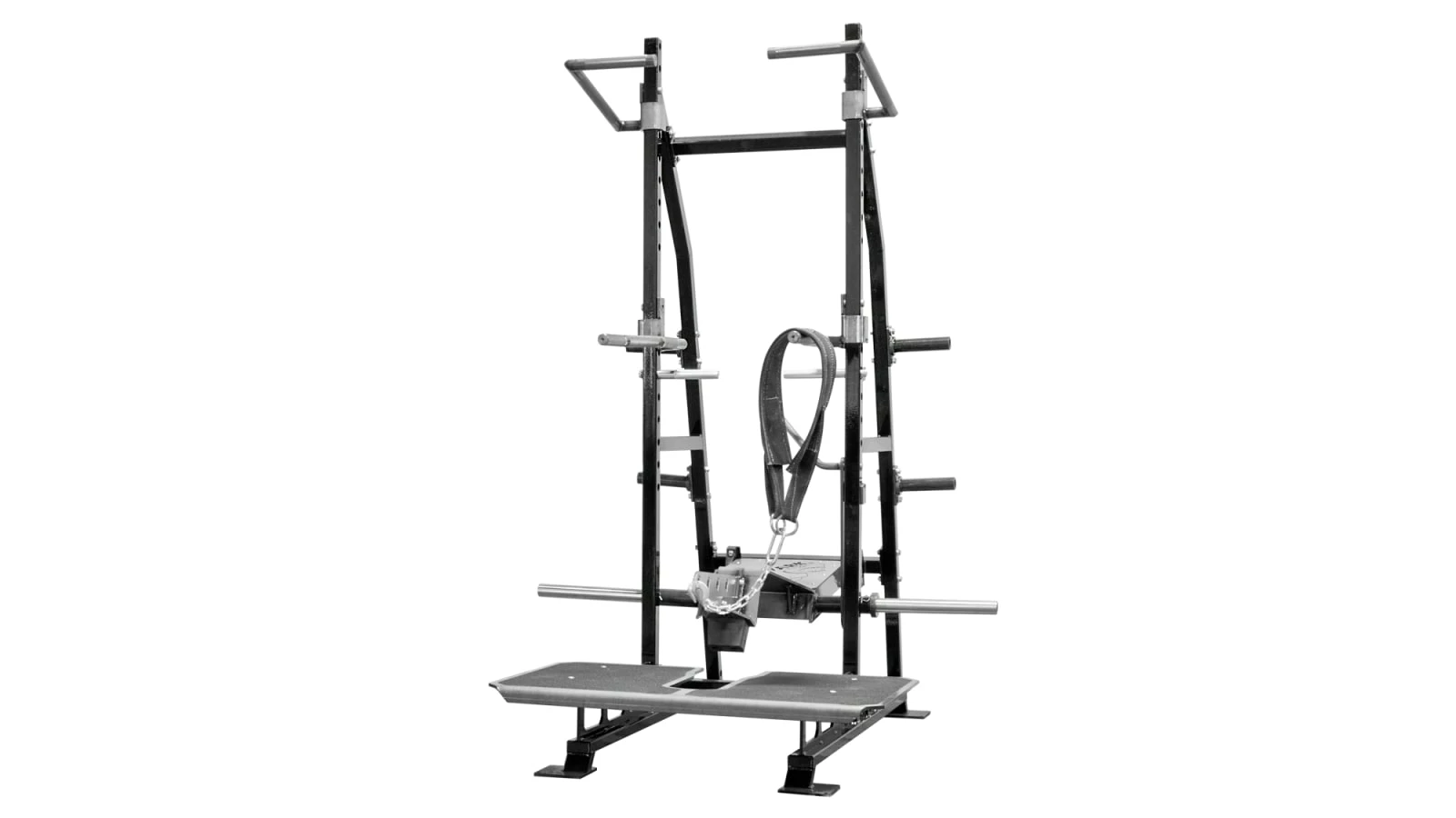 BeachSide Fitness Pit Shark 3 BeachSide Fitness Pit Shark